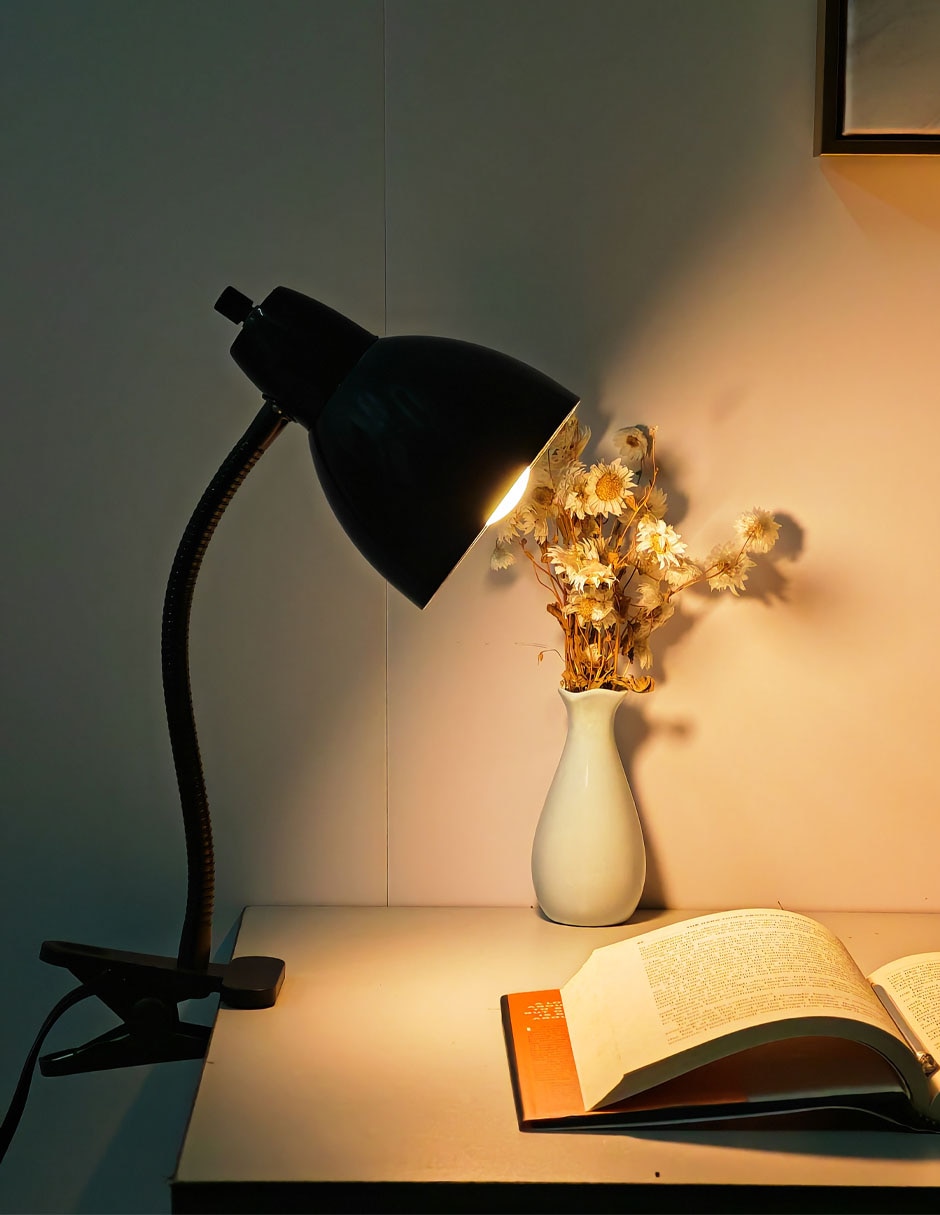 Lámpara de escritorio incandescente Haus Lille